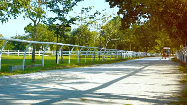 Άλογο που μεταφοράς προσεγγίσεις με τουριστικό στο Titiwangsa λίμνη Garden Park. Κουάλα Λουμπούρ. Μαλαισία — Αρχείο Βίντεο