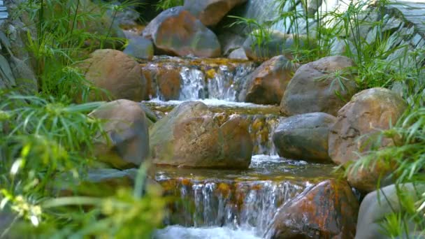 Water Cascades down a Multilevel Garden Waterfall — Wideo stockowe