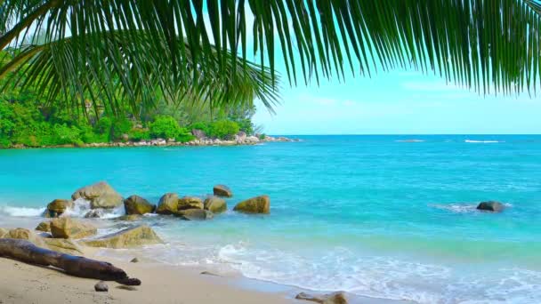 Olas suaves en una playa rocosa protegida con palmeras — Vídeo de stock