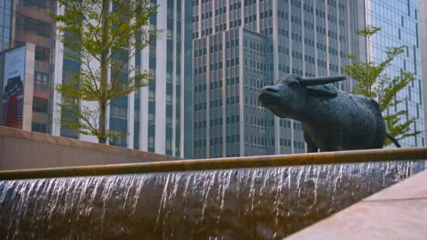 Escultura de un búfalo de agua. un símbolo de laboriosidad y paciencia. de pie en una fuente del parque en el centro de Hong Kong. China. . — Vídeos de Stock