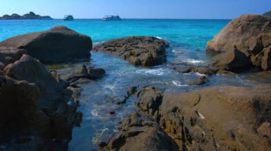 Tropik Bir Denizde Kayalıklardaki Gelgit Havuzları