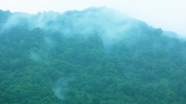 Mist en wolken op een heuvel met een tropisch bos. Het regenseizoen in Azië. — Stockvideo