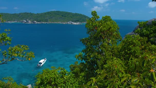 Tour Boat a horgony a Crystal Clear trópusi öbölben — Stock videók