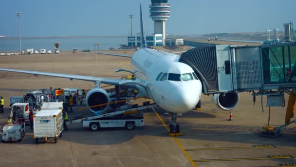Грузовой экипаж выгружает багаж из самолета в международном аэропорту Макао — стоковое видео