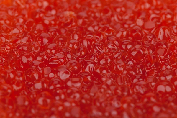 Red caviar background — Stock Photo, Image