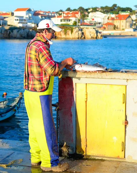 Uomo pulizia pesce sul molo — Foto Stock