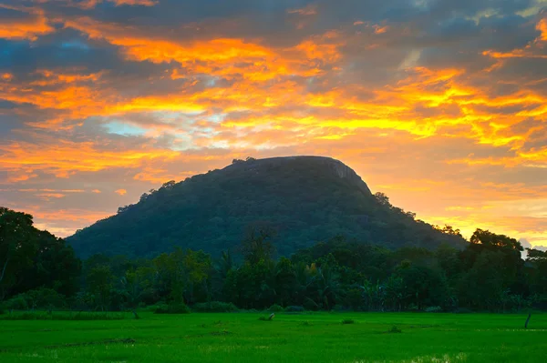 Sigiriya rock på färgglada sunset — Stockfoto