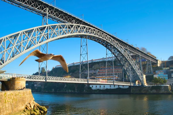 Dom Luis puente I, Portugal —  Fotos de Stock