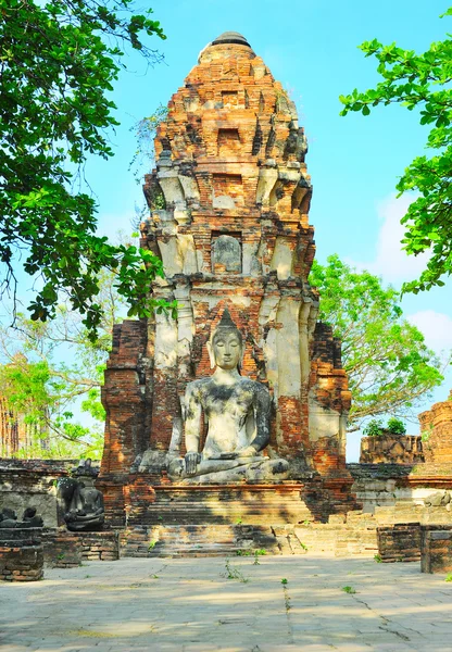 Staty av Buddha. Thailand — Stockfoto