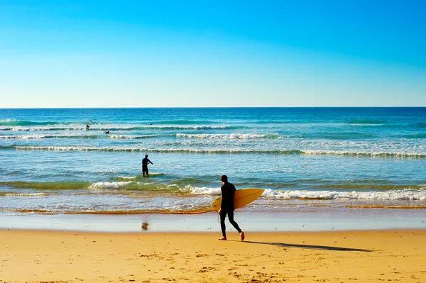 Silhuetten av surfare med surfbrädor — Stockfoto