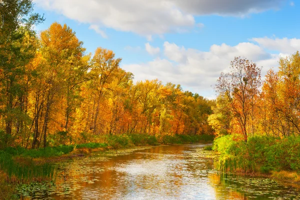 Journée d'automne ensoleillée et lumineuse — Photo