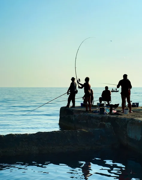 Skupina rybářů siluety — Stock fotografie