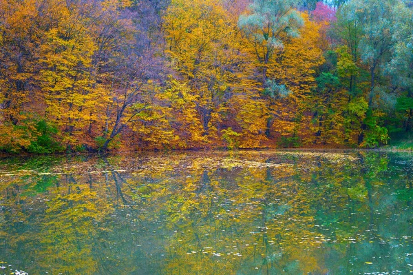 Colorful Autumn Trees Reflected Water Lake — Stock Photo, Image