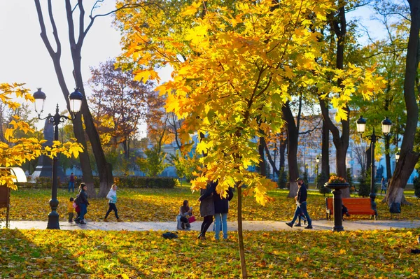 人们在阳光灿烂的秋天公园里 把注意力集中在前面的一棵树上 乌克兰基辅 — 图库照片