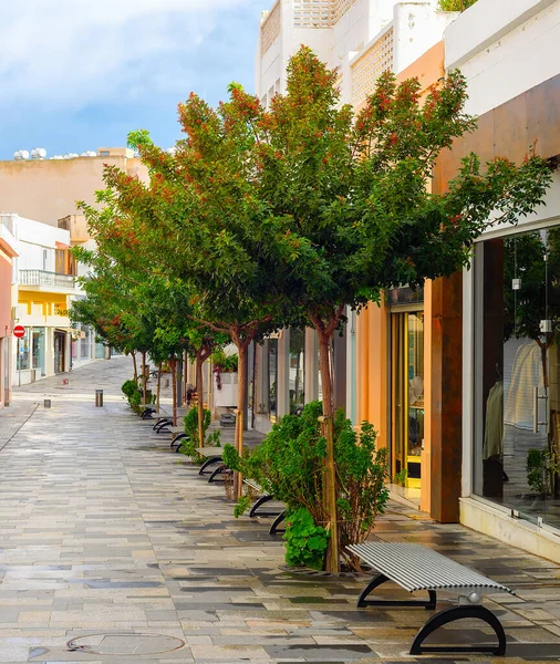 Rua Comercial Centro Turístico Paphos Com Árvores Verdes Chipre — Fotografia de Stock