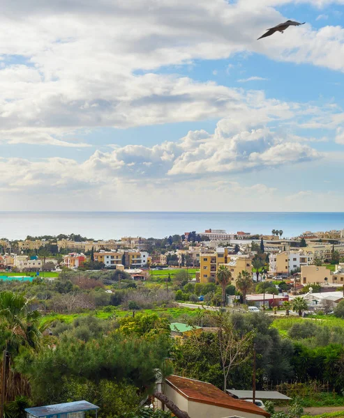 Skyline Paphos Con Pájaro Volando Cielo Chipre —  Fotos de Stock