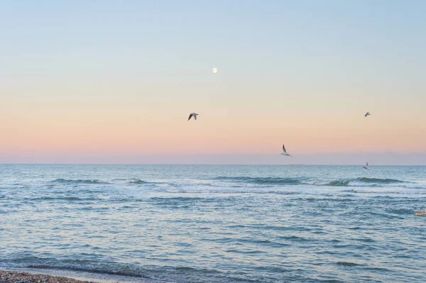 Paisaje Con Luna Mar Las Gaviotas Anochecer Odessa Ucrania —  Fotos de Stock