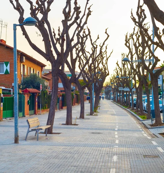 清澈的小巷在晨光中 西班牙巴塞罗那 — 图库照片