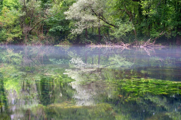 Árboles reflejados en un río de montañas . — Foto de Stock