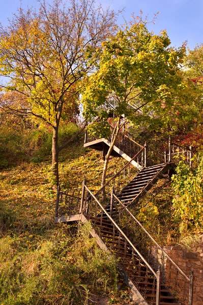Dřevěné schody na podzim. — Stock fotografie