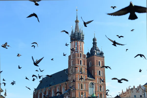 St. Mary basiliek, Krakow — Stockfoto