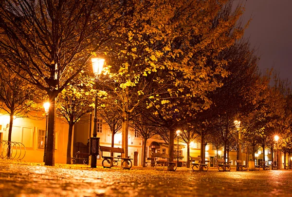 Praga parque à noite — Fotografia de Stock