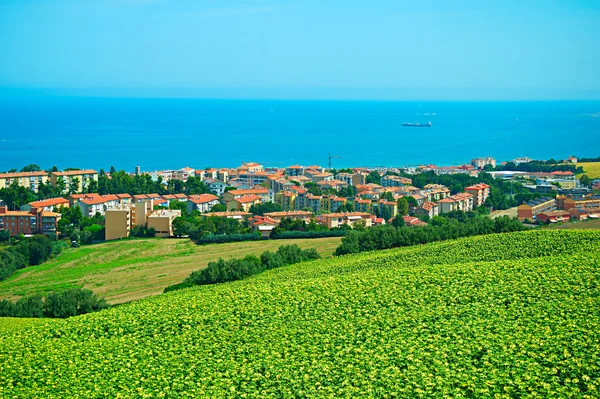 Pequena cidade Ancona, Itália — Fotografia de Stock