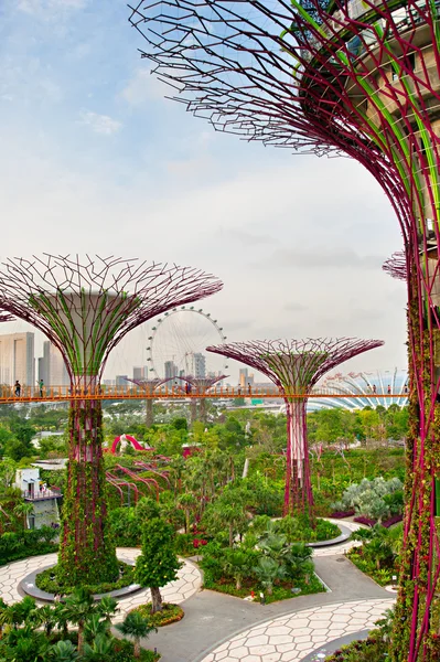 Futurisztikus kert, Szingapúr — Stock Fotó