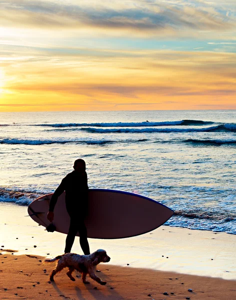Silhouet van een surfer met een hond — Stockfoto