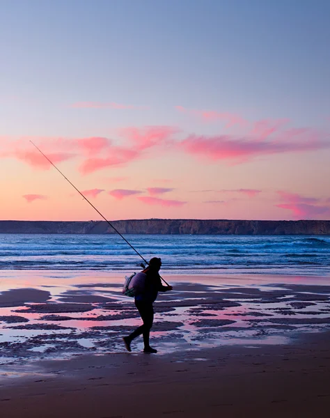 Portugal visser in Portugal — Stockfoto