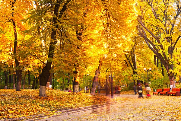Krásný Park na podzim — Stock fotografie