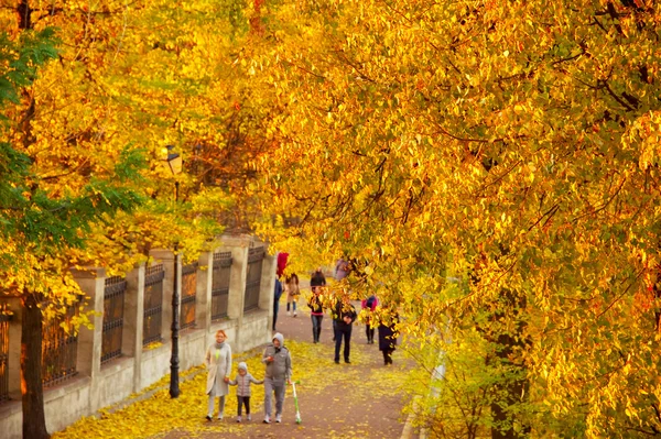 Familie wandelen in een park — Stockfoto