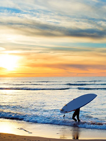 Paddle surfen bij zonsondergang in Portugal — Stockfoto