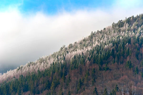 Invierno montaña pendiente —  Fotos de Stock