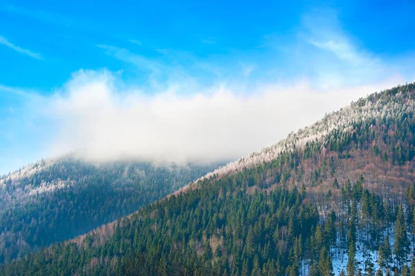 Inverno nelle montagne dei Carpazi — Foto Stock