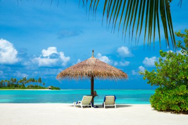 Maldivler 'deki tropik plaj