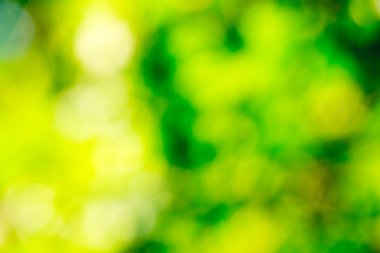 Yeşil bokeh arka plan