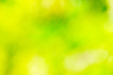 Yeşil bokeh arka plan