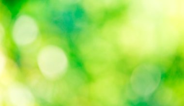 Yeşil bokeh arka plan