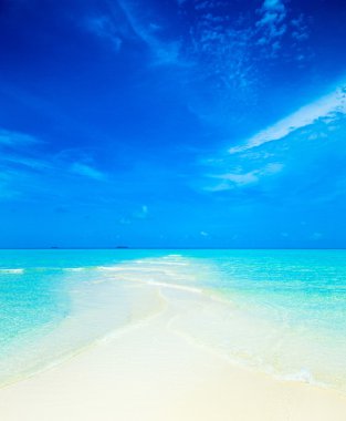 Maldivler 'deki tropik plaj