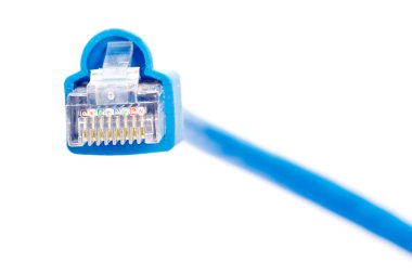 LAN kablosu ve beyaz arka plan üzerinde bağlayıcı