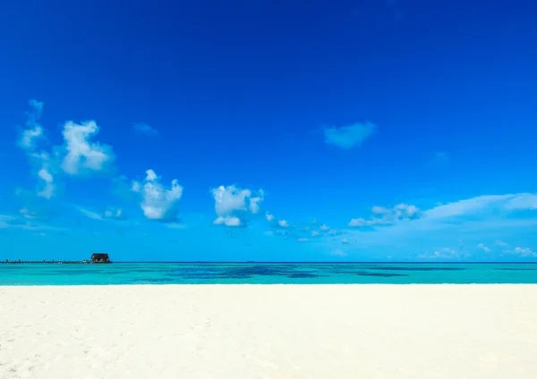 Plage tropicale aux Maldives — Photo