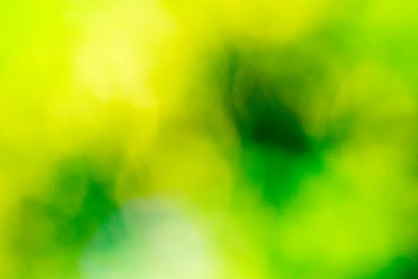 Gröna bokeh bakgrund — Stockfoto