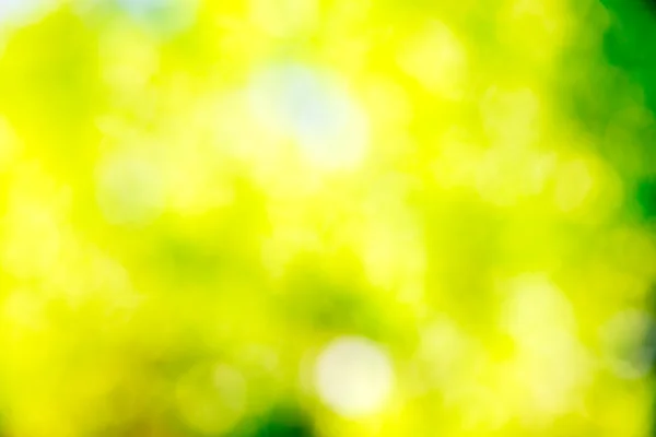 Green bokeh background — Stock Photo, Image