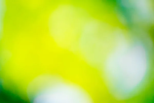 Gröna bokeh bakgrund — Stockfoto