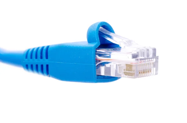 Cable y conector Lan sobre fondo blanco — Foto de Stock