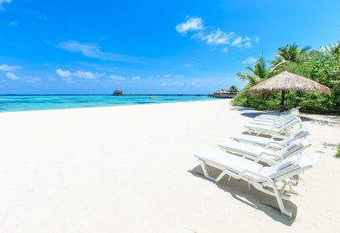 Güzel tropikal plaj