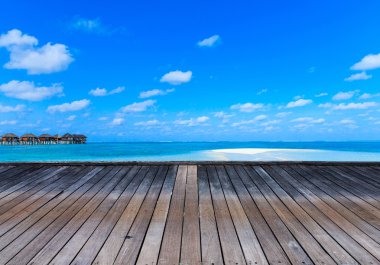 Maldivler 'deki tropik plaj 