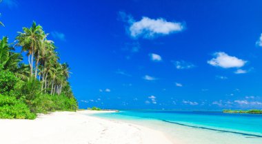 Maldivler 'deki tropik plaj 