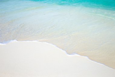 Maldivler 'deki tropik plaj